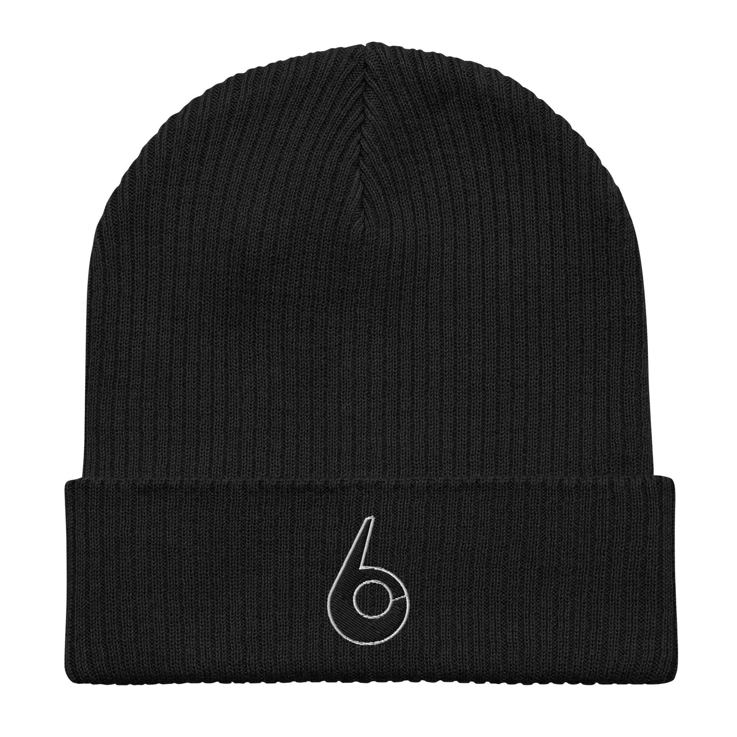 SICKENIN6 Organic Ribbed Beanie